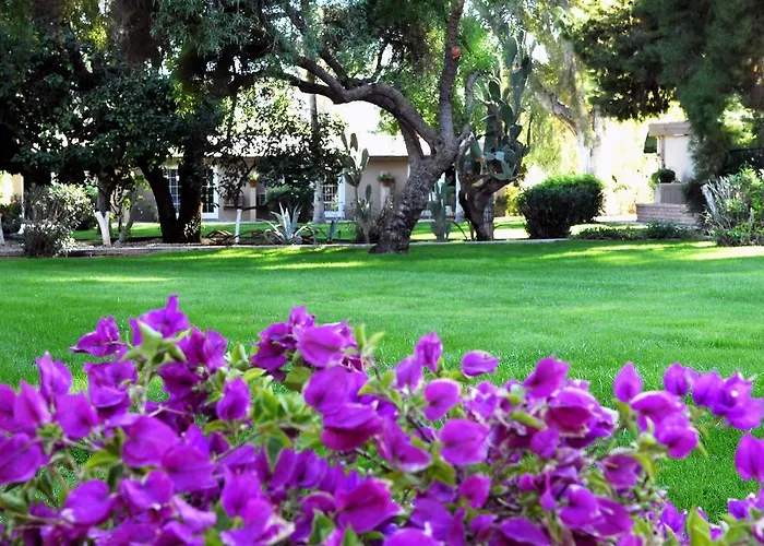 Smoketree And Bungalows Scottsdale