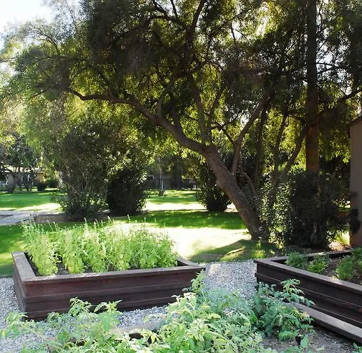 Hotel Smoketree And Bungalows
